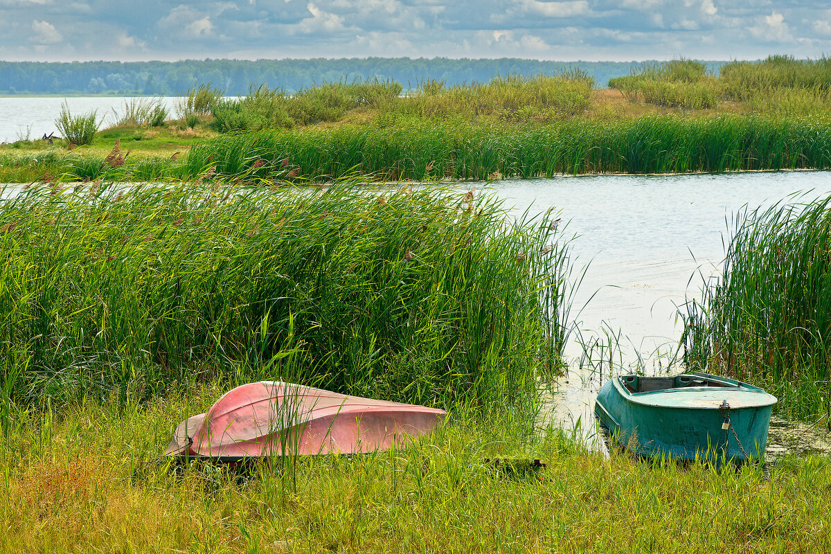 Сельская жизнь - Дмитрий Конев