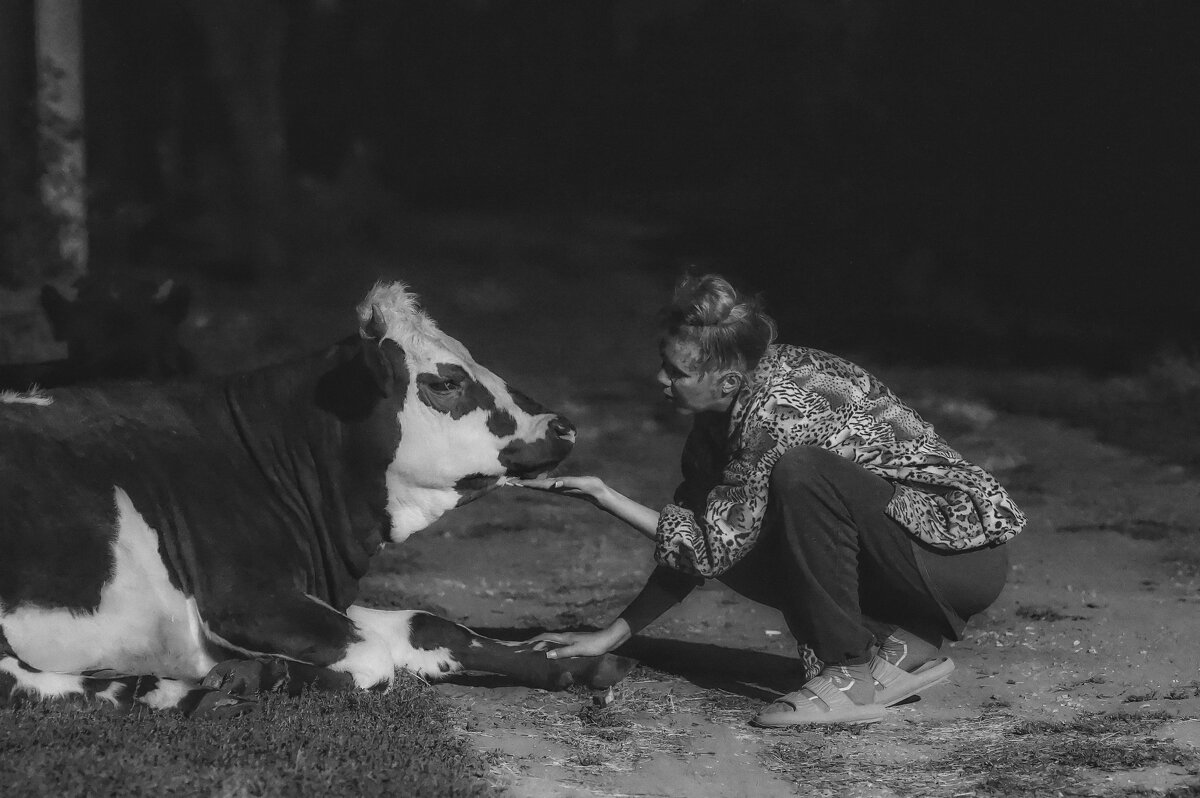 Документальная эстетика и трогательное взаимодействие. - Сергей В Документальная эстетика и трогательное взаимодействие. - Сергей В