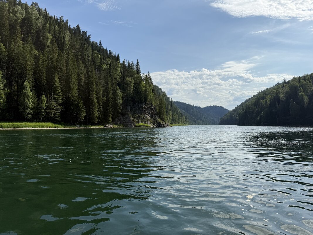 Природа - Дмитрий Сычевский Природа - Дмитрий Сычевский