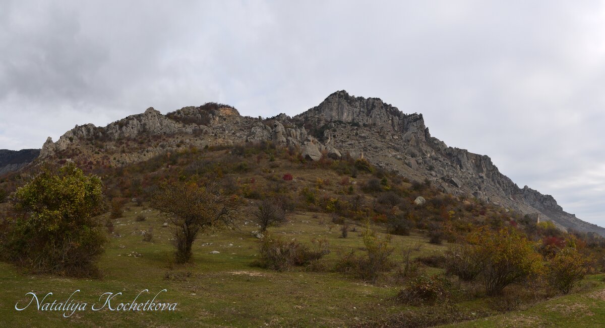 Природа Крыма - Amazing Cosmea