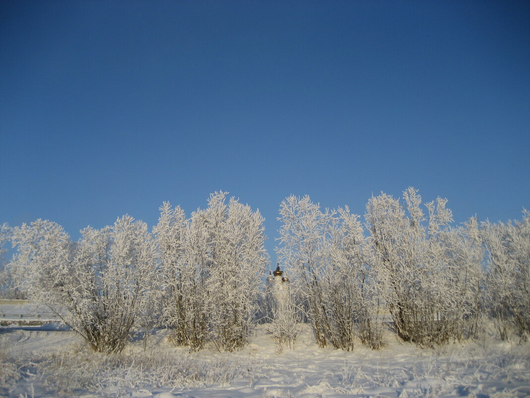 Морозное утро - Anna Ivanova