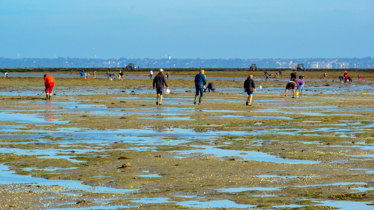 Океан далеко отошёл аж на 4 км - Георгий А