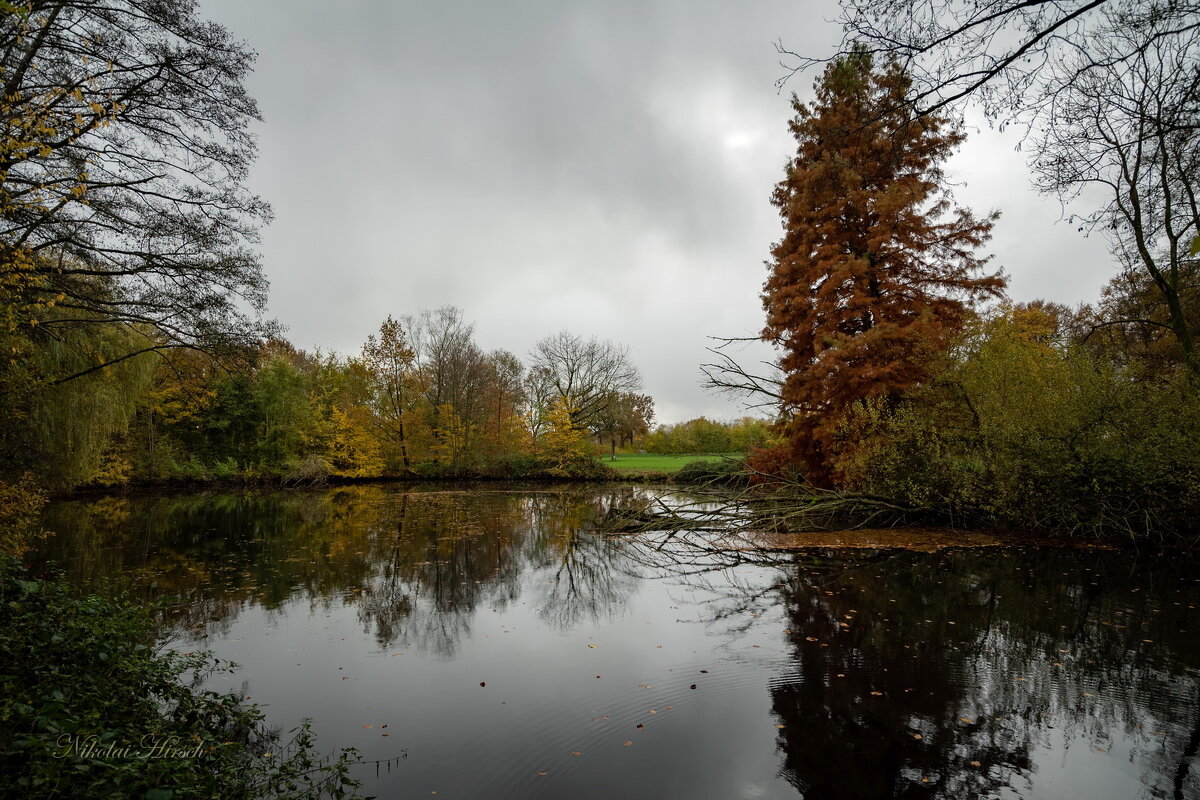 В ноябре... - Николай Гирш В ноябре... - Николай Гирш