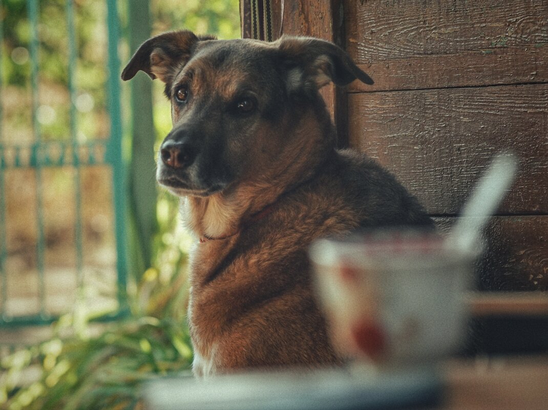 "Счастье в мелочах" - Сергей В "Счастье в мелочах" - Сергей В