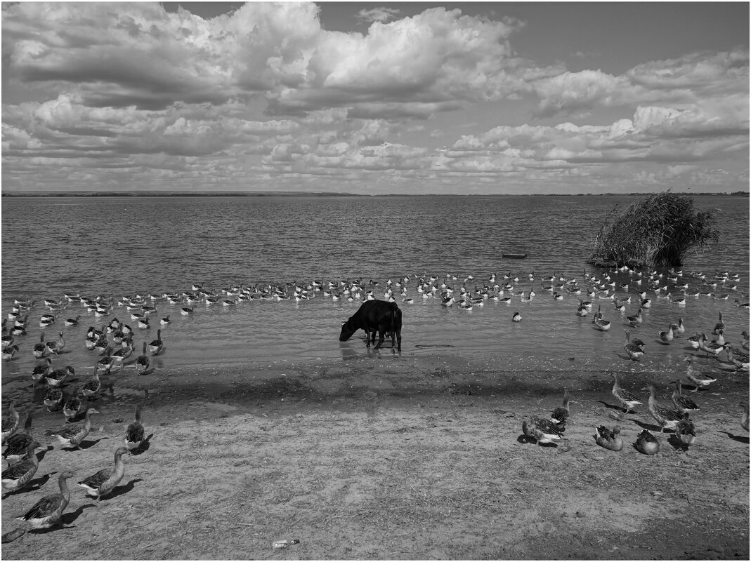 Деревенский сюжет - Сергей В Деревенский сюжет - Сергей В