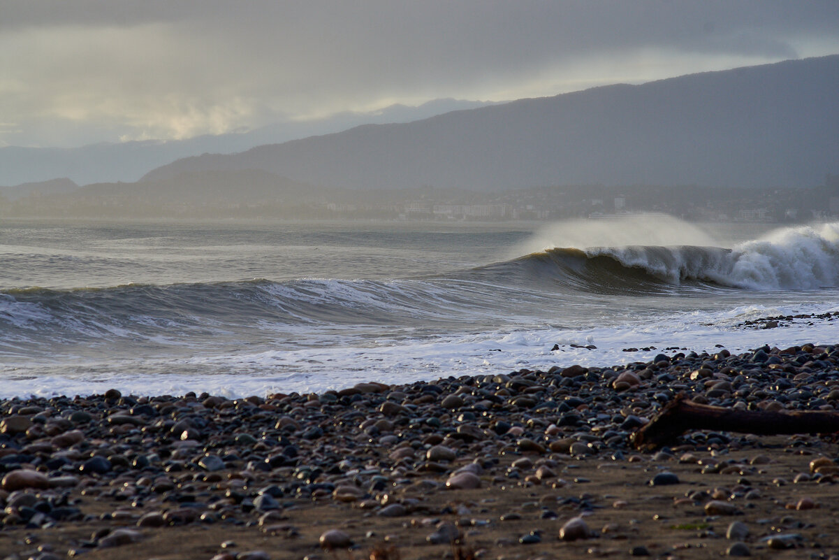 штормит - Александр Леонов