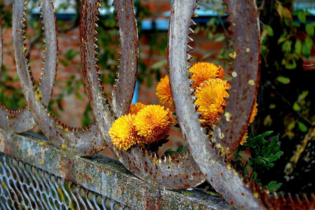 Соединение прекрасного с безобразным, нежного с суровым, уходящего с настоящим. - Екатерина Леш