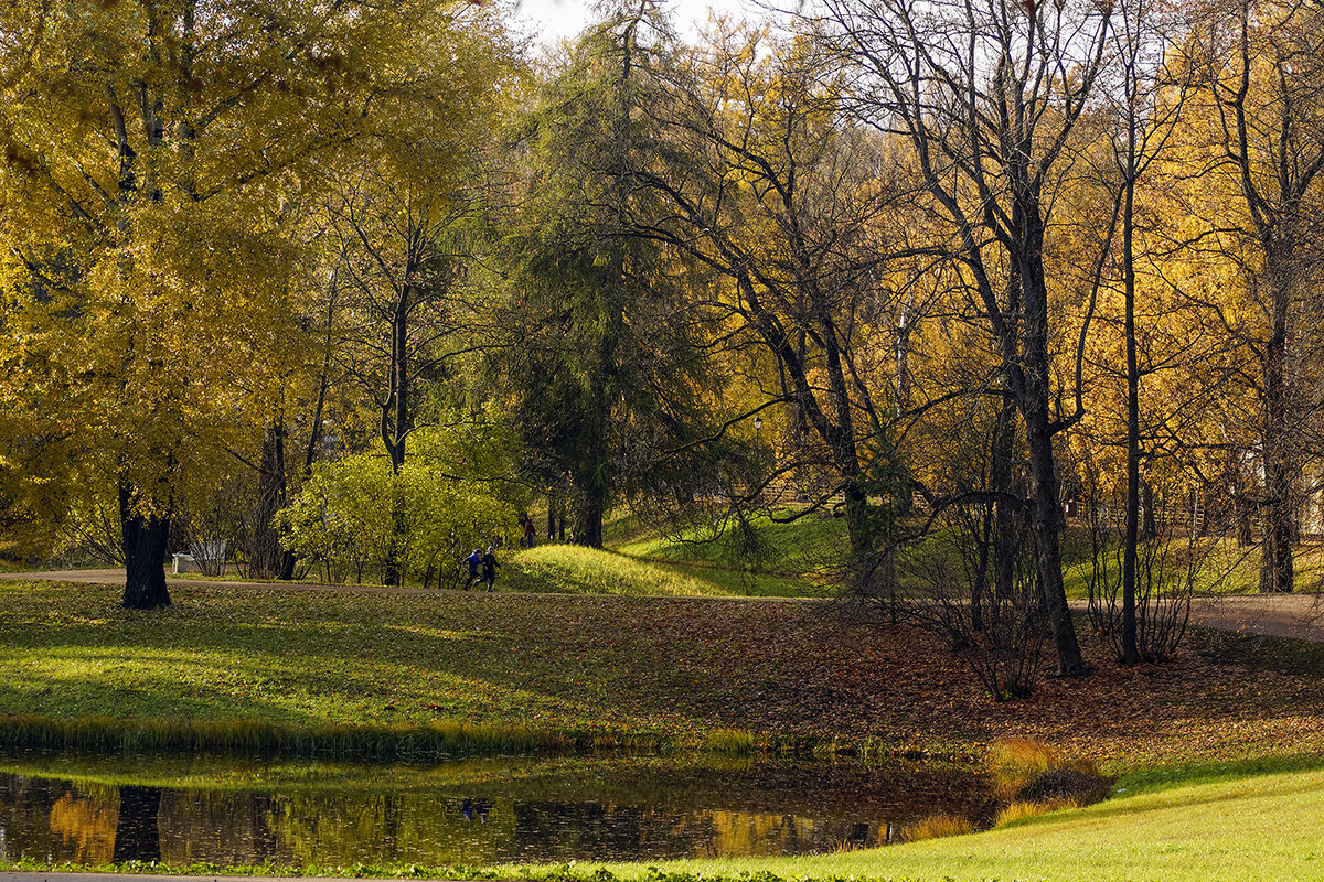 осенний парк - Владимир Матва осенний парк - Владимир Матва