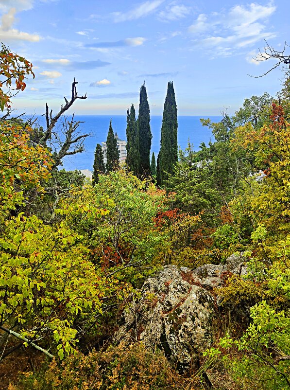 В парке санатория "Горный". - Виктор Мухин