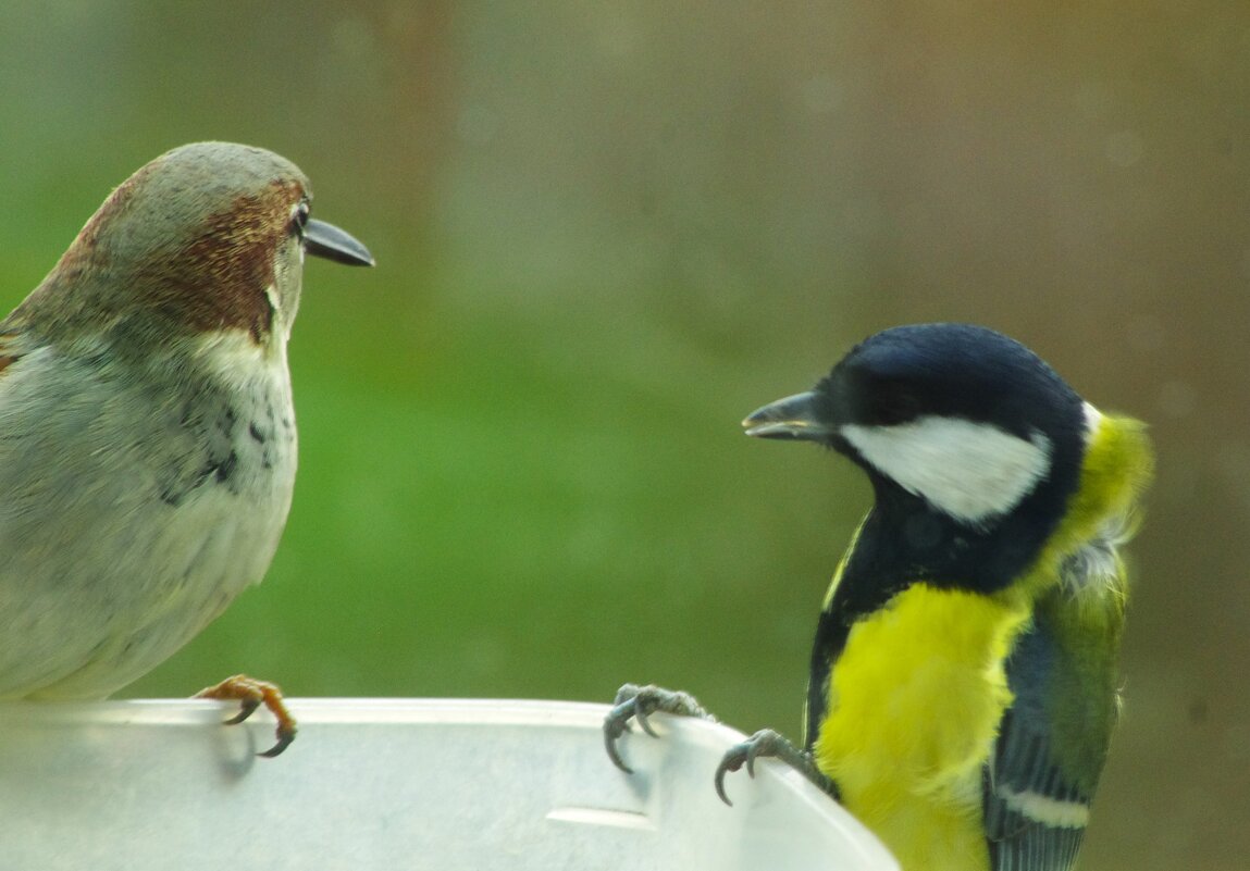Экий гость невоспитанный пошёл !.. - Юрий Куликов