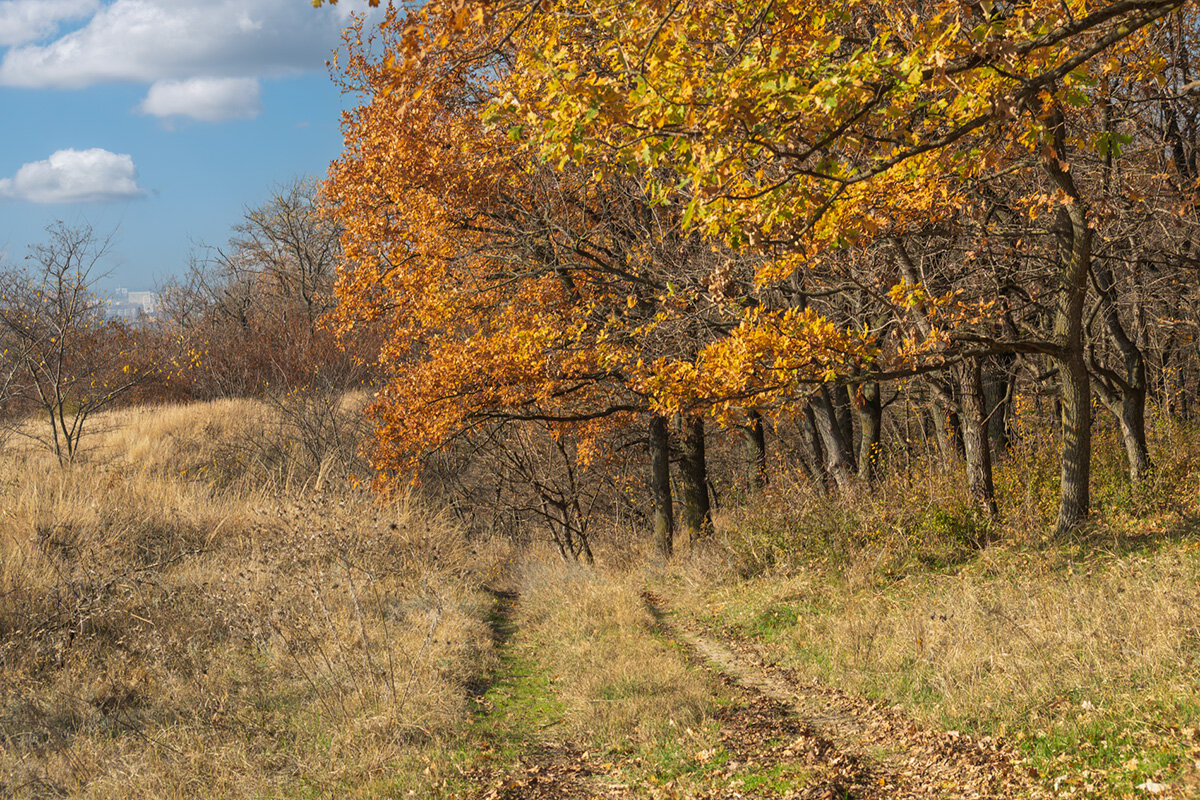 Заканчивается осень в Краснодарском Крае - Игорь Сикорский
