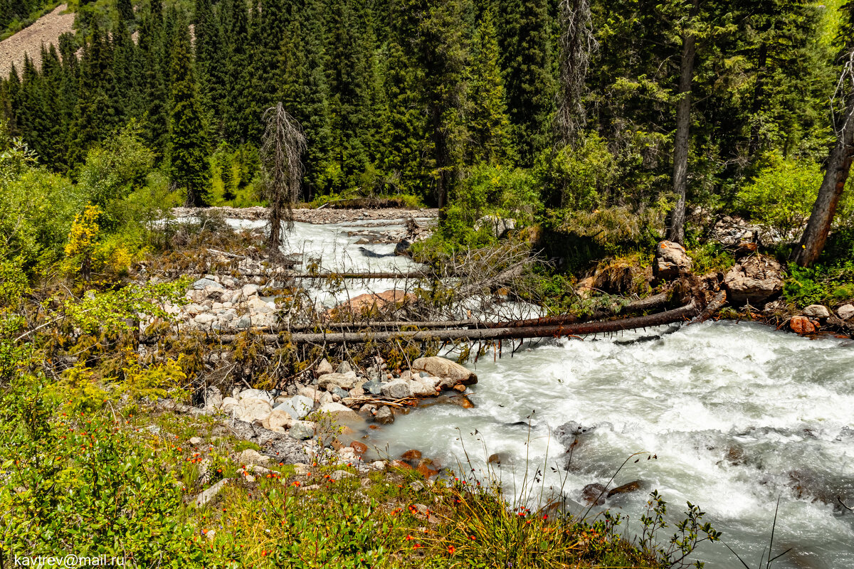 ГОРНЫЕ РУЧЬИ - HART BAD