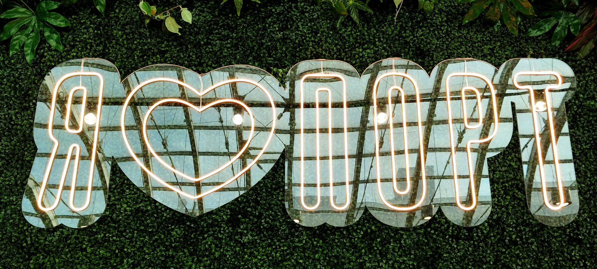 Я люблю... - Радмир Арсеньев