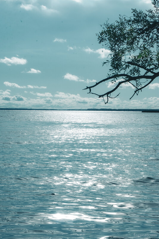 Шошинский плёс - fogmeadowww m