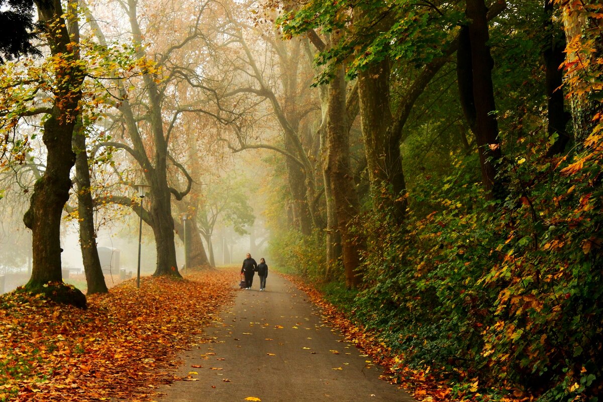Домой... - Юрий. Шмаков Домой... - Юрий. Шмаков
