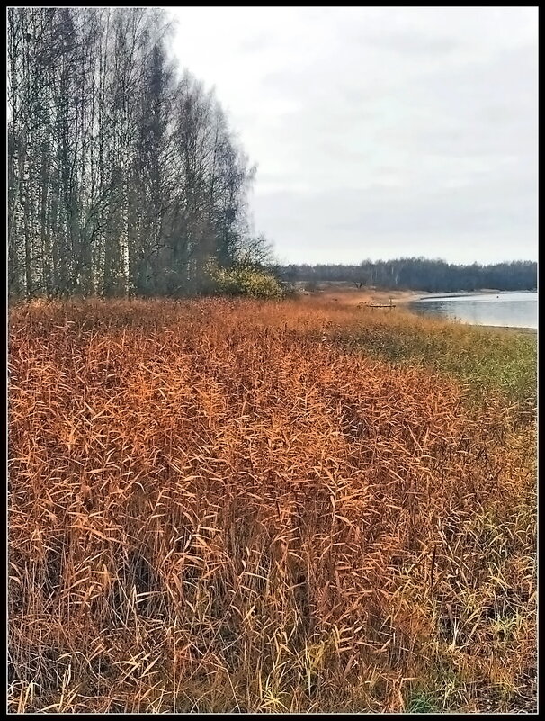 Берег реки Гжать - Ольга Довженко