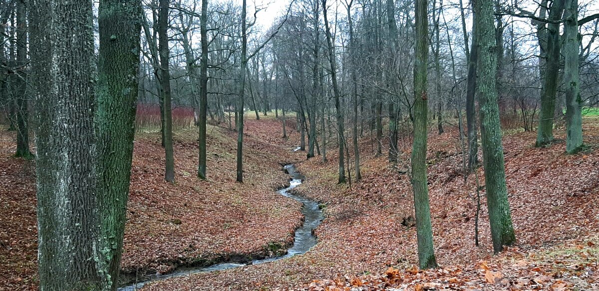 Парк Александрия - Наталья Герасимова