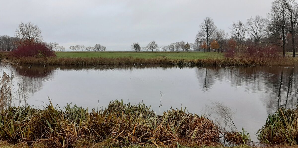 Парк Александрия - Наталья Герасимова