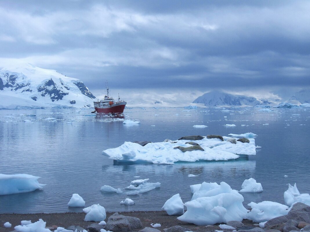 Антарктический пейзаж. - unix (Илья Утропов)