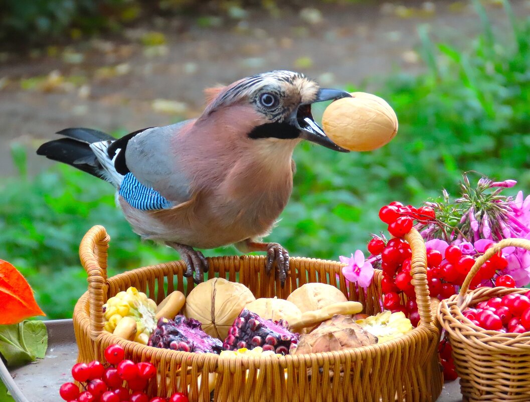 Большому куску и рот рад ! - Ольга Митрофанова