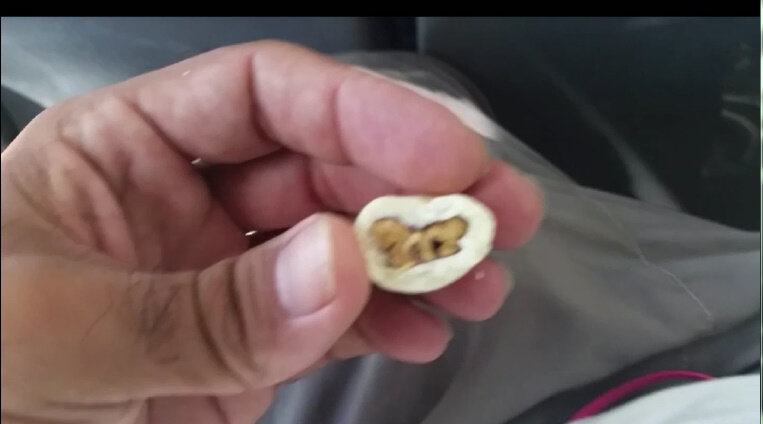 114 (130) - CLOSE WAYS ALL