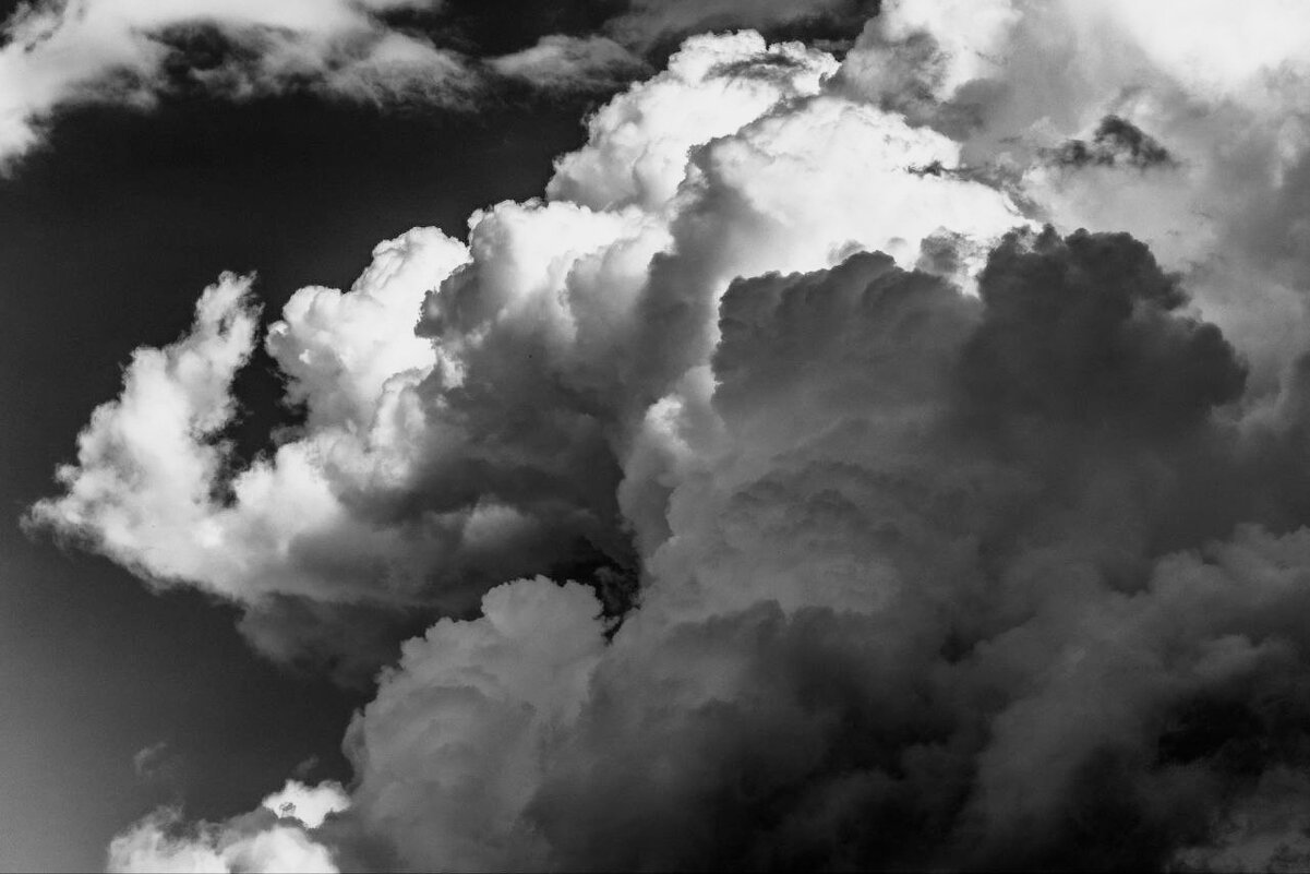 Ч б - Sergei Vikulov