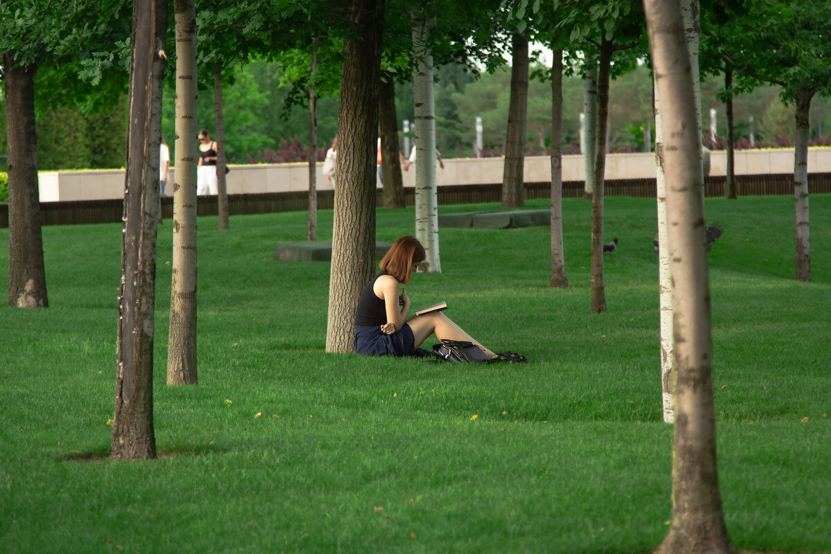 девушка с книгой - Ольга Косачова девушка с книгой - Ольга Косачова