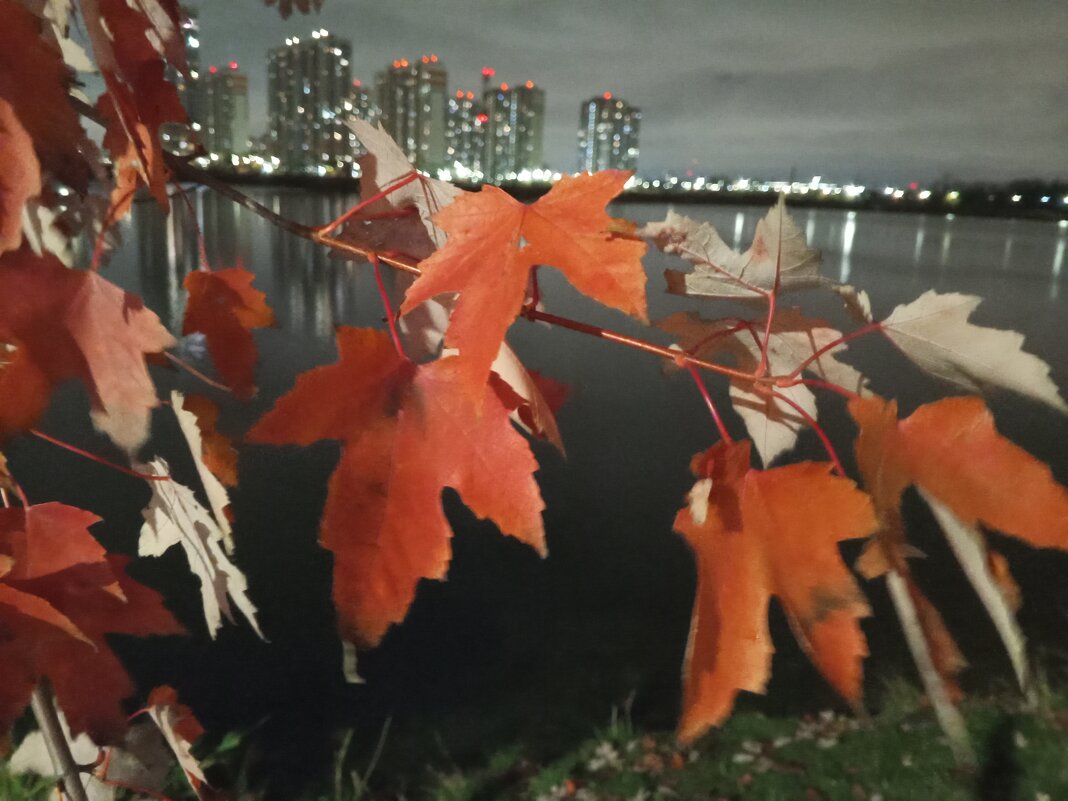 Осень - Сапсан 