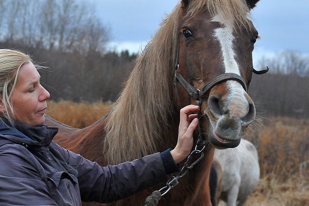Кокетливая улыбка... )) - Владимир Хиль