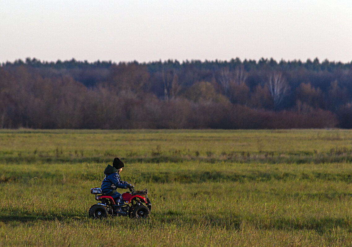 На боголюбовском лугу - Сергей Цветков