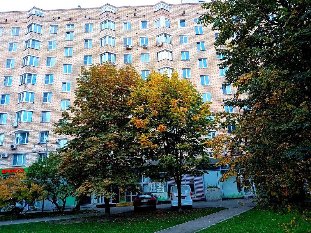 Осень. - Владимир Драгунский