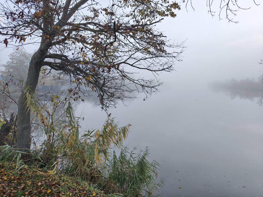 Утро - Валерий Ткаченко