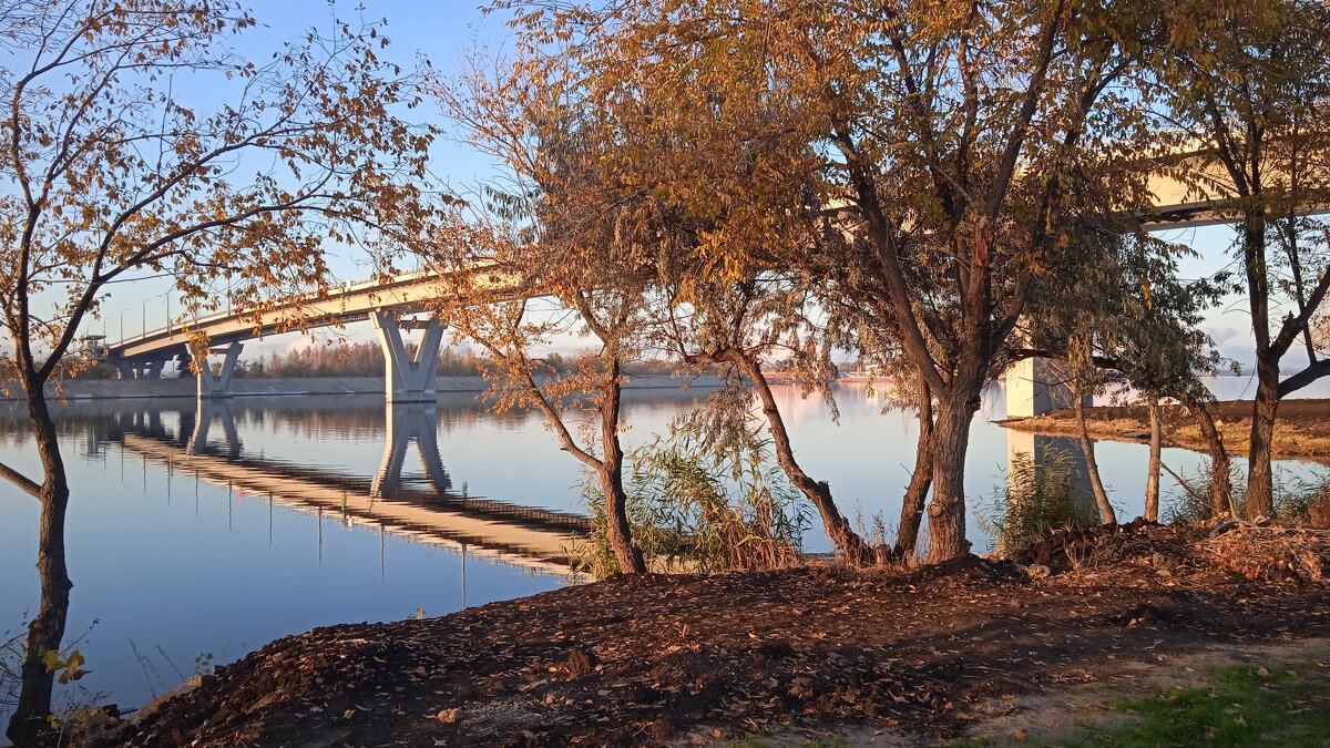 Балаково - Елена Шаламова