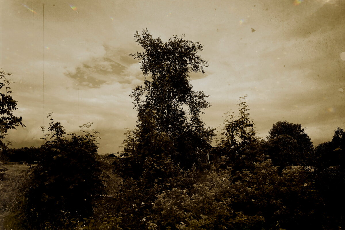 Фотография - Денис Безногов