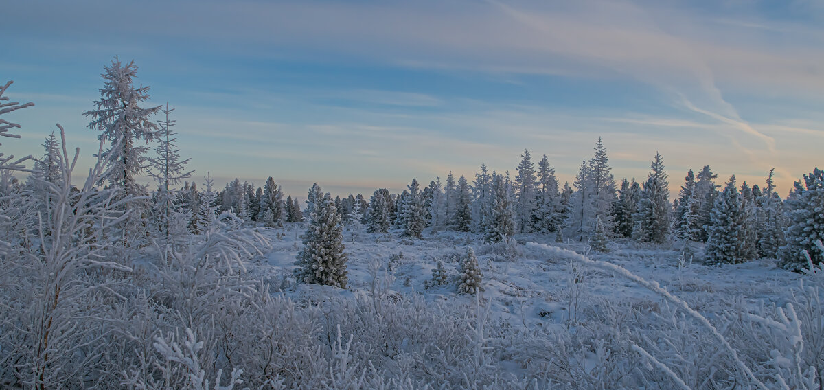 Зим пришла - Игорь Шабалин