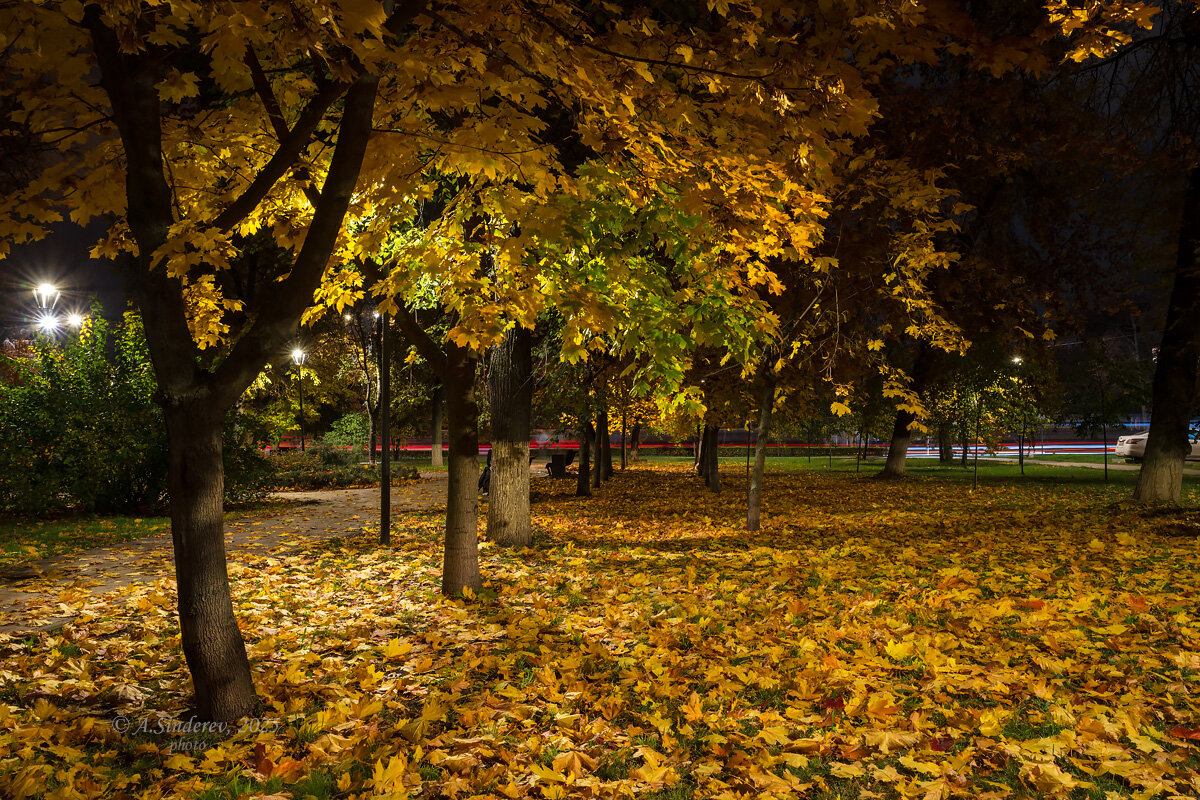 Октябрьский вечер - Александр Синдерёв