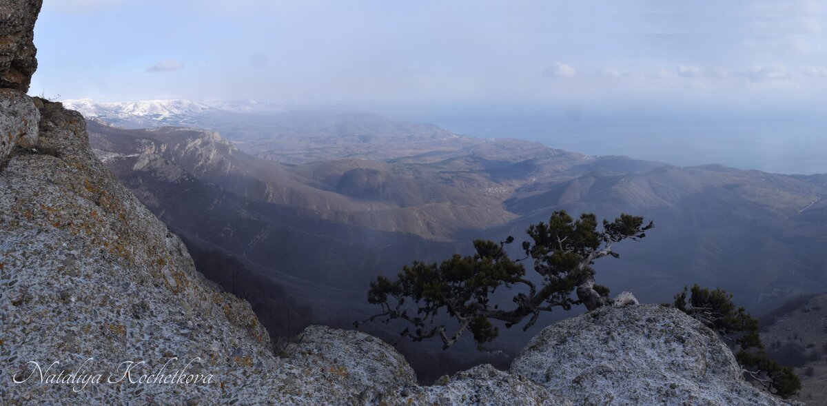 Природа Крыма - Amazing Cosmea Природа Крыма - Amazing Cosmea