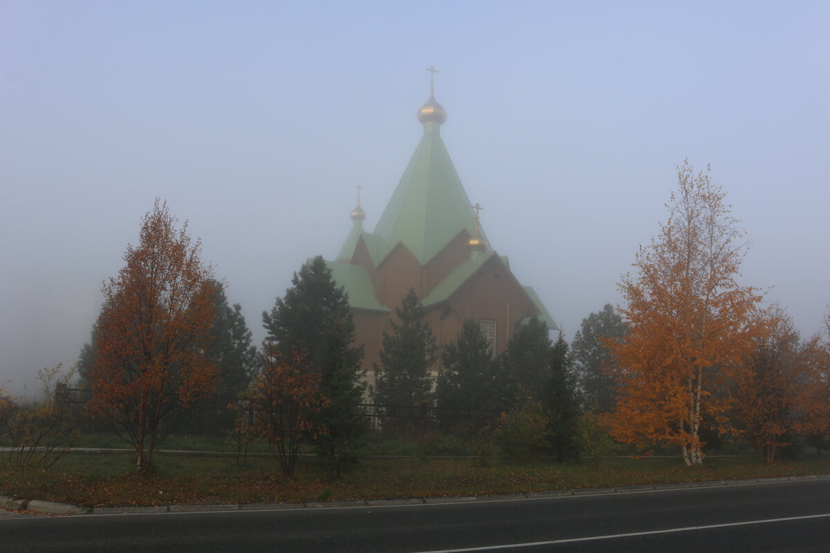 В тумане - Ольга 