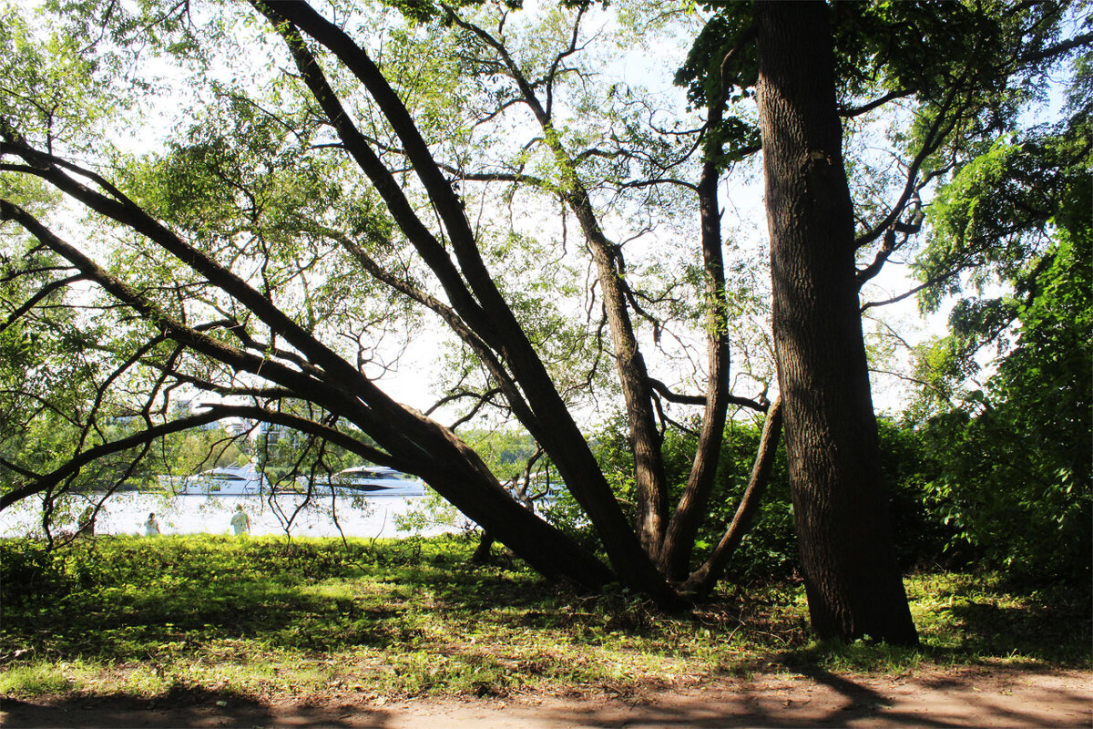 В парке - Любовь ***