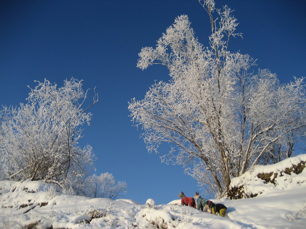 На подъёме - Anna Ivanova