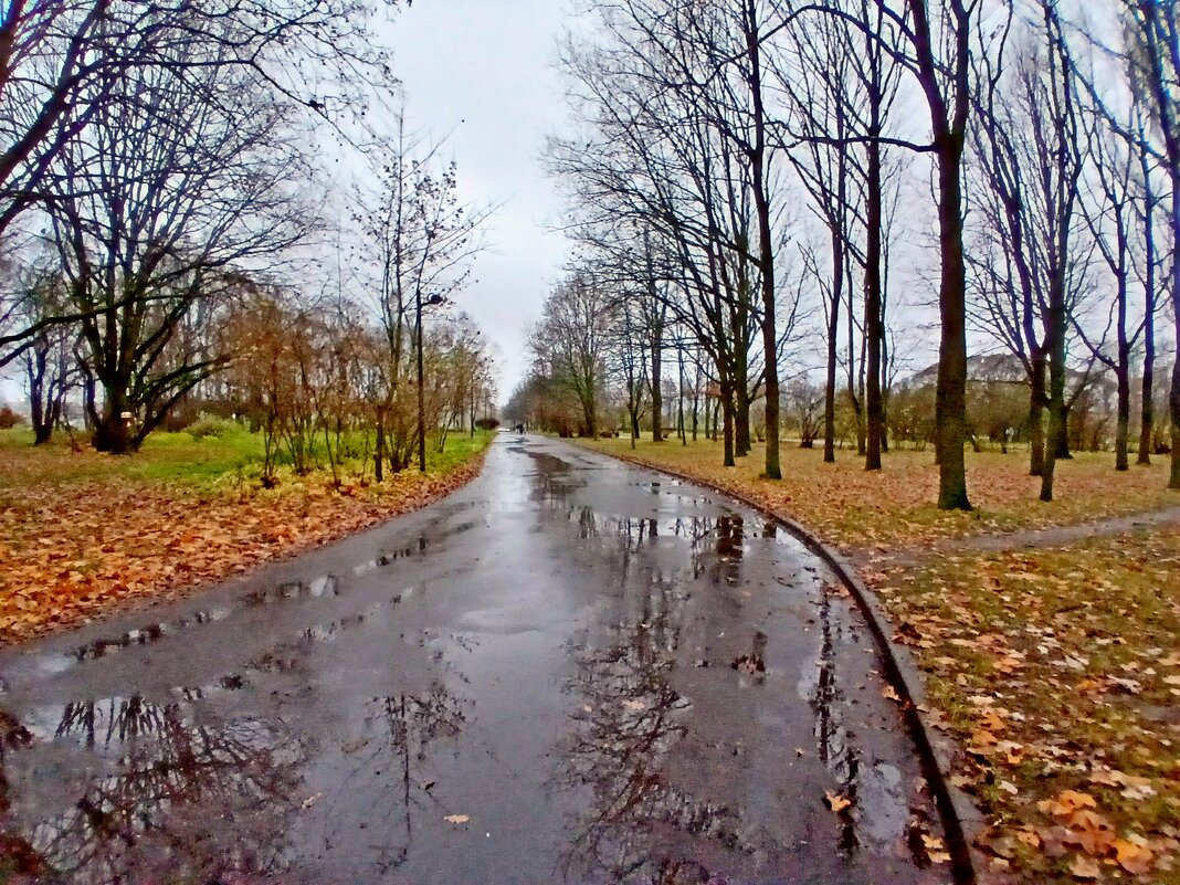 Когда тепло и дождик в радость. - Лия ☼