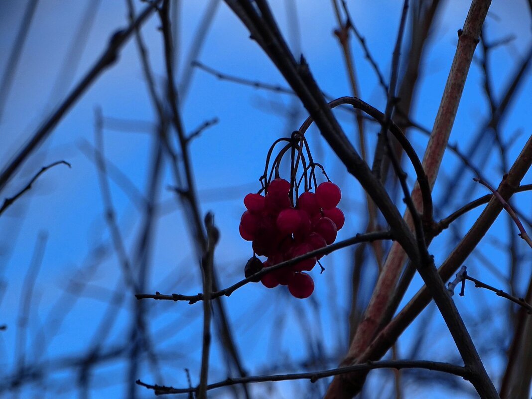 . - Татьяна Венцель