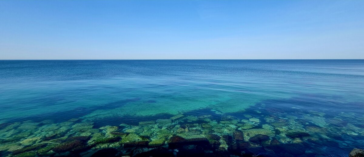 синее море - Ольга Косачова