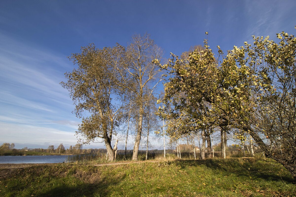 Осень. - Николай 