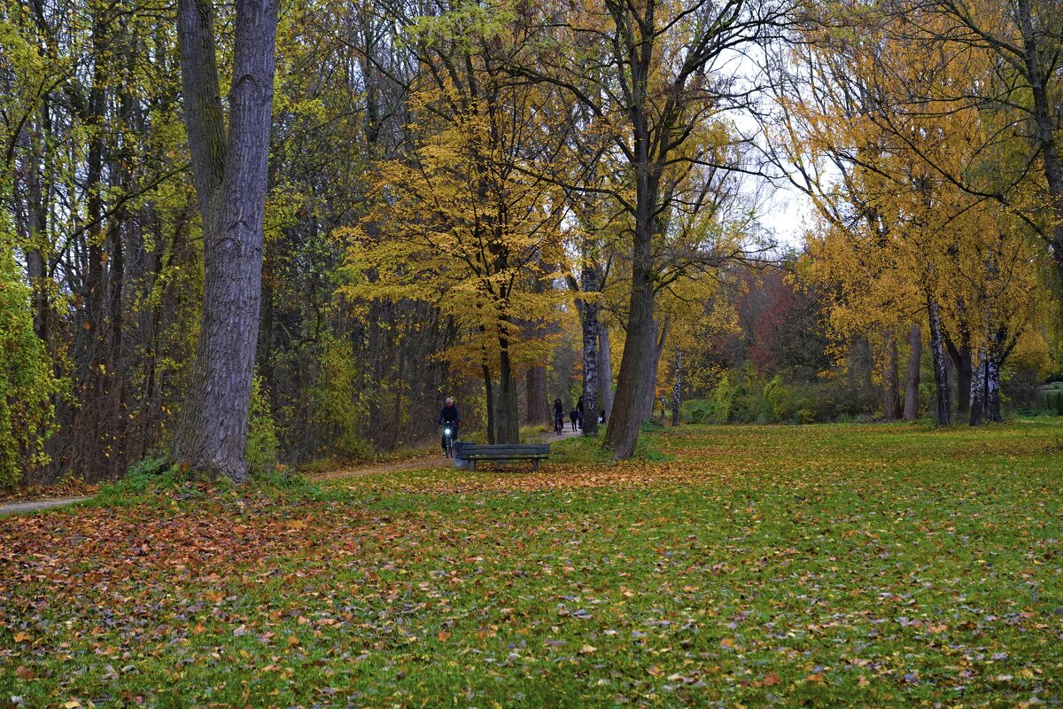 Ливень листьев кружевной ... - Галина 