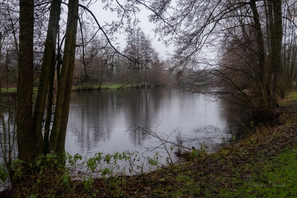 Январское настроение... - Николай Гирш