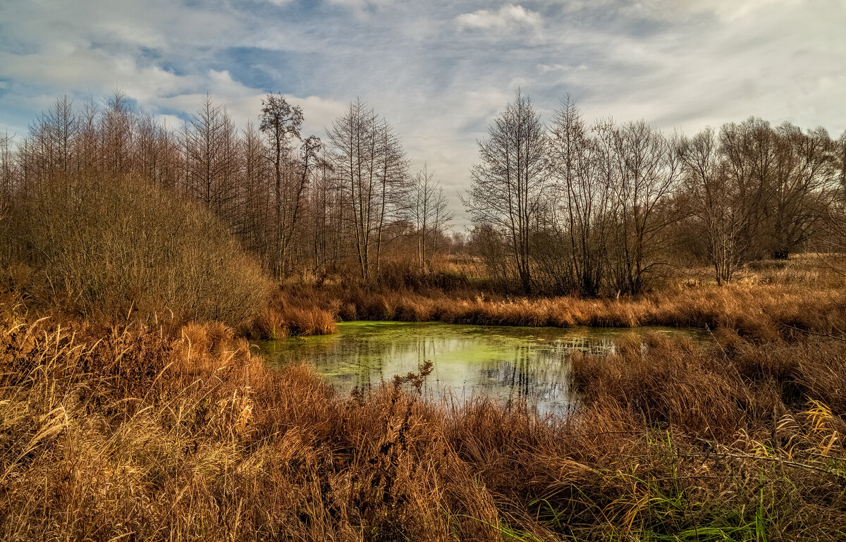 Осень не сдаётся 15 - Андрей Дворников