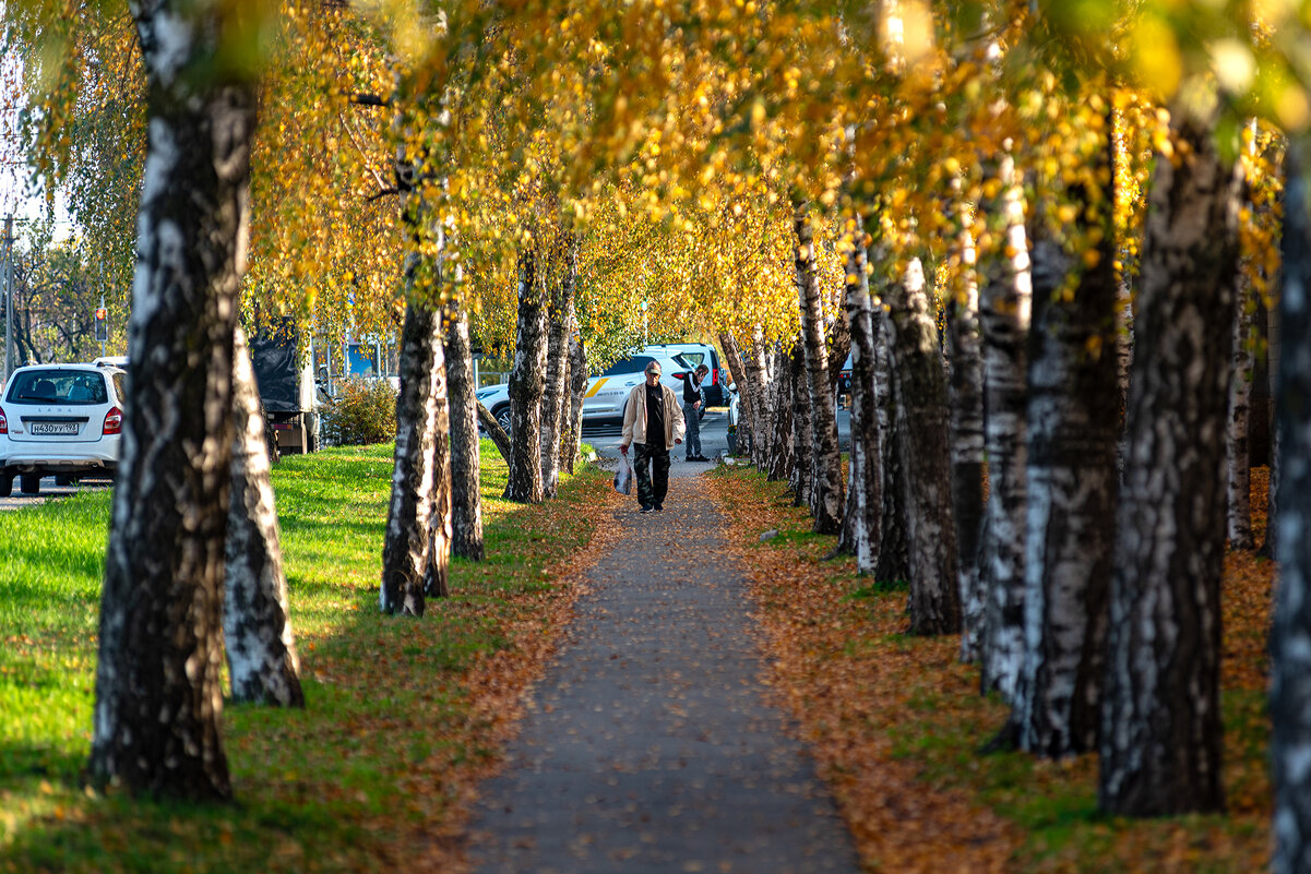 Кубань 8 ноября.25 год - Вадим Федотов 