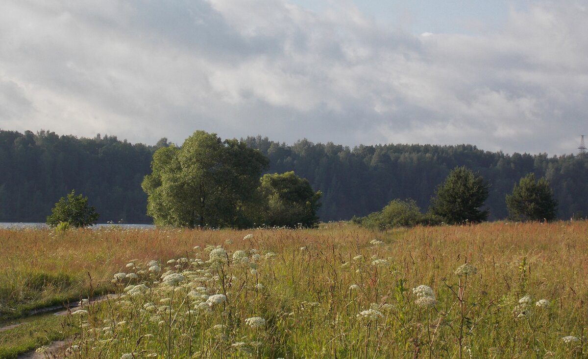 Золоторучье - Vitrevi 