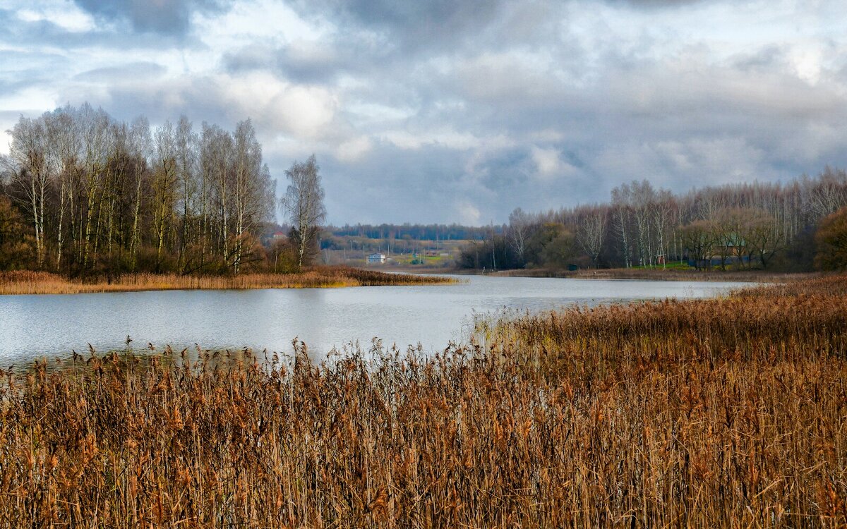 Осенний пейзаж с озером. - Милешкин Владимир Алексеевич 